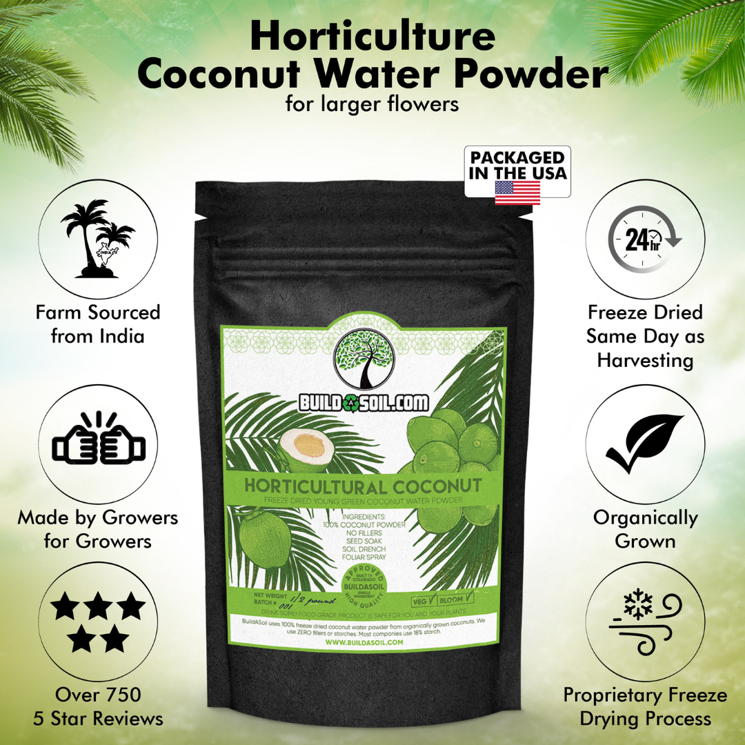 Coconut Water Powder - Raw Freeze Dried Organic Rated